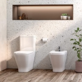 Roca Toilet and Bidet