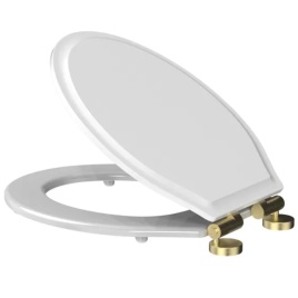 image of a toilet seat open in white
